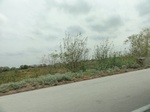 35398DSC02910.JPG