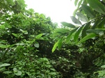 45535CIMG2620.JPG