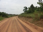 47396CIMG3733.JPG
