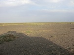 36675CIMG0444.JPG