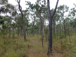 2012-08-28_20-34-47_P1010129.jpg