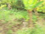 50692CIMG1321.JPG