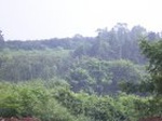 1191R0015045_small.jpg