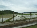 55059Berau (377).JPG