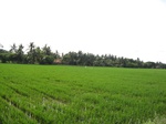 14384IMG_4726.JPG