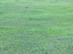 51689CIMG0571.JPG
