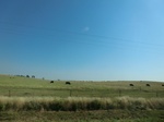 55394CIMG1982.JPG