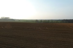 51325L1000444.JPG