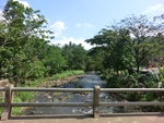 31516CIMG1382.JPG