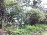 5541100_0922.JPG