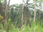48663CIMG5000.JPG