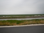 54353DSCN1627.JPG