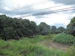 33543IMG_5809.JPG