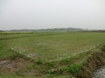 51661CIMG0469.JPG