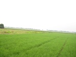15725IMG_4808.JPG