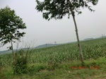 33018CIMG2178.JPG