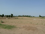 19099P1000944.JPG