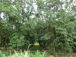 34858CIMG1529.JPG