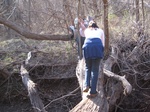 8617IMG_1242.JPG
