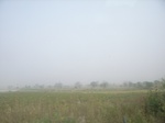 9137RIMG0218.JPG