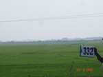 75010332d-rainfed-agriculture-rice.jpg