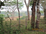 30050IMG_5338.JPG