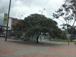 5904100_1612.JPG