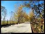 39641nEO_IMG_CIMG0387.jpg