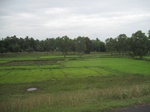 33312IMG_5648.JPG