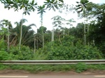 25587P1020001.JPG