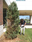 8733IMG_3900.JPG
