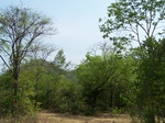 17410100_2096.JPG
