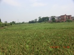 53871CIMG2618.JPG