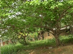 49230CIMG5567.JPG