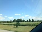 58026IMG_0992.JPG