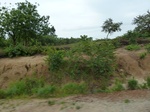 18686P1000524.JPG
