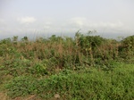 50411CIMG1040.JPG