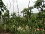 53331CIMG6615.JPG