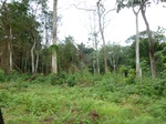 20682P1020539.JPG