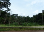 20102P1010953.JPG