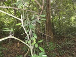 46862DSC02209.JPG