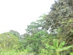 49710CIMG6047.JPG