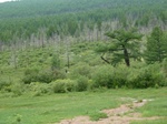 23786P1040865.JPG