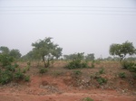3919RIMG0223.JPG