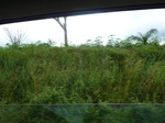 25253P1020096.JPG