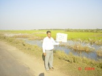 6669gt121-wetland-cropland-1.jpg