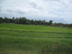 33253IMG_5583.JPG