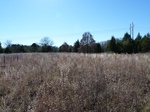 26510P1010549.JPG