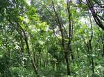 546011052008(25).JPG