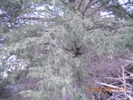 9476DSCN0923.JPG